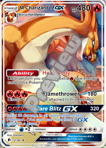 M CHARIZARD Y GX EX VMAX POKEMON CARD